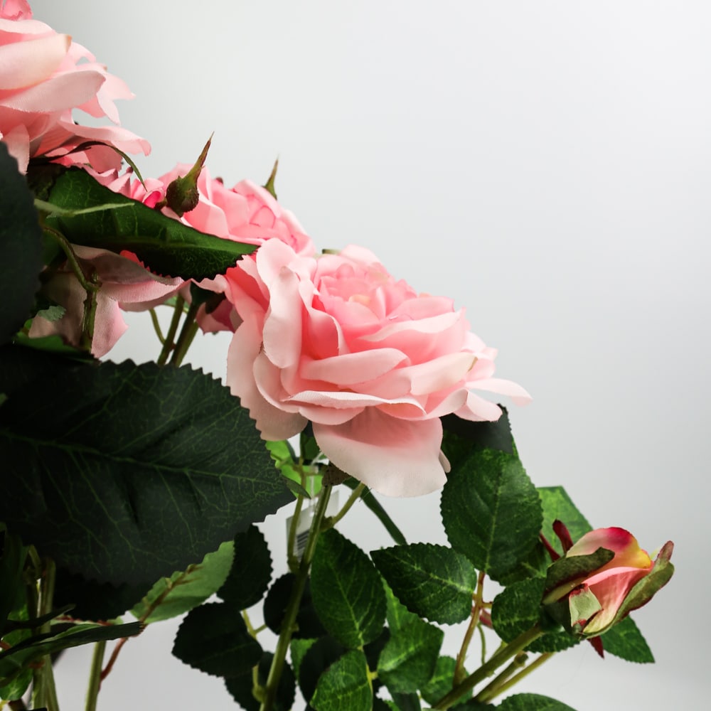 Arbre fleuri rose clair